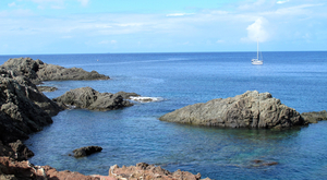 Population des Iles Sauvages : 2 hommes et 40.000 oiseaux