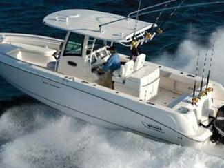 Le fishing : une nouvelle tendance venue des...