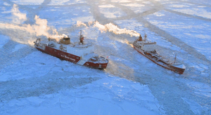 Derniers passagers de l’Arctique