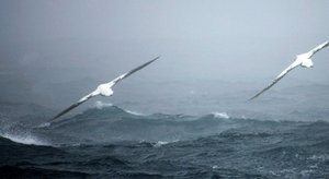 Météo de nos littoraux : une semaine à hauts risques