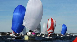 Le Muscadet fête ses 50 ans