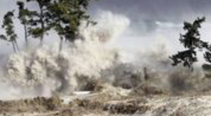 Japon : après le tsunami de 2011, les recherches se poursuivent