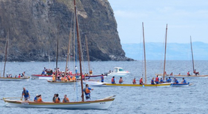 Sur les traces de Moby Dick