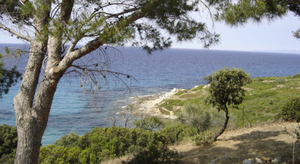 Corse: Evolution de la pollution aux hydrocarbures