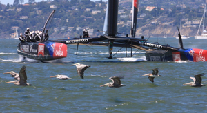 Les Néo-Zélandais entrevoient la finale