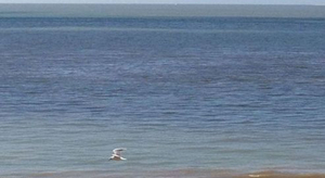 Début de semaine mitigé puis la chaleur revient