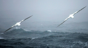 Retour sur les tempêtes estivales