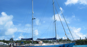 Pali, le bébé des mers