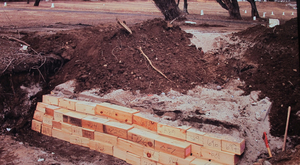 Hart Island, l'île maudite de New York