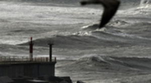 Méditerranée : Qu'est-ce qu'un 