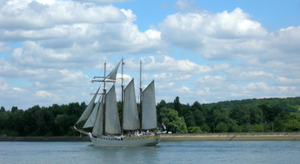 Armada de Rouen : les cathédrales des mers ouvrent le bal