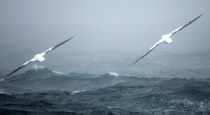 Fraîcheur persistante le long de la Manche