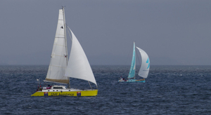 Les Saint-Bernard de la course