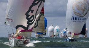 Un bon millésime en 2013