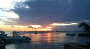 Le retour du printemps : c'est pour quand ?