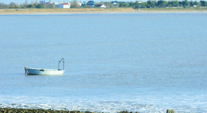 C'est le printemps sur les côtes atlantiques