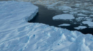 Apnées dans le Grand Sud