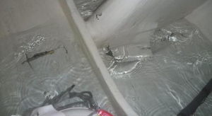 Avarie pour Tanguy de Lamotte