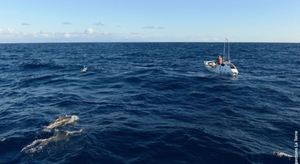 Charles Hedrich touche au but