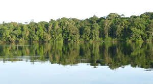 Navigation en Amazonie