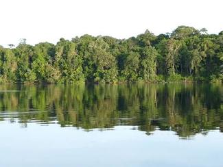 Navigation en Amazonie