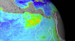 Un rapport pour inscrire les sites en haute mer au patrimoine mondial de l'UNESCO