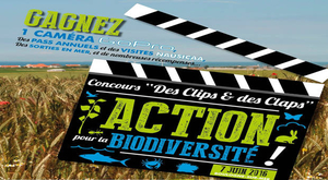 Concours vidéo « Des Clips et des Claps » organisé par NAUSICAA