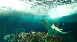 Faire découvrir la mer à vos enfants