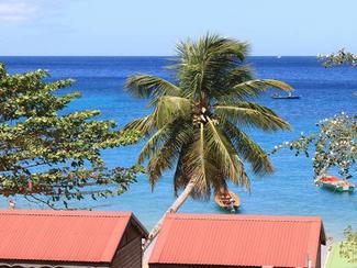 Destination de la semaine : la Martinique,...
