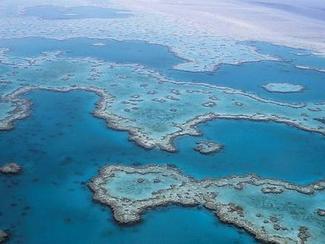 Grande barrière : les coraux blanchis deux...