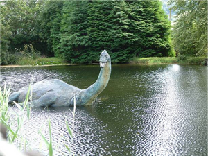 Découvrez les monstres marins du monde entier