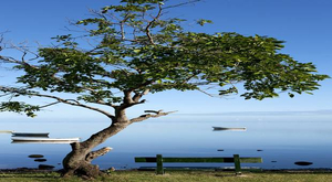 L'île Maurice : 27°C dans l'eau actuellement