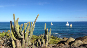 La plaisance, un must à Saint-Martin