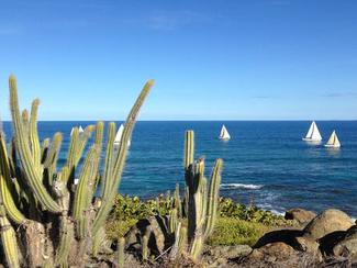 La plaisance, un must à Saint-Martin