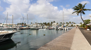 Découvrez le port de Saint-François en Guadeloupe avec Dominique Blain