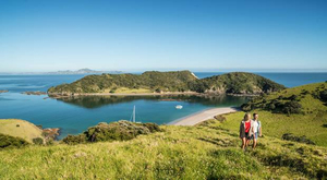 Les plus beaux spots de croisière en Nouvelle-Zélande