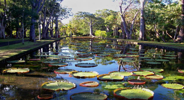 Le jardin botanique des Pamplemousses est un incontournable Nautisme Article