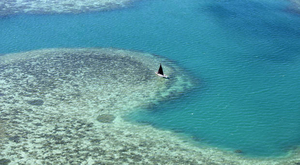 Amis plongeurs, l'île Maurice vous attend !
