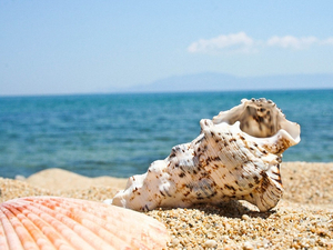 Désolé, la mer n'a pas de message à vous faire passer