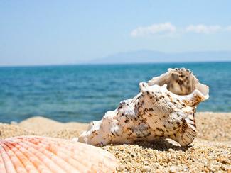 Désolé, la mer n'a pas de message à vous faire...