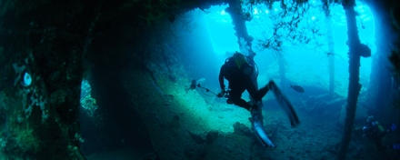 Plongée épave