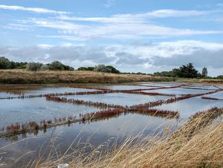 La destination de la semaine : l’île d’Oléron