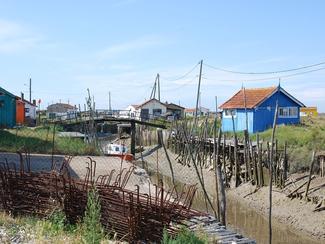 Le patrimoine prolifique du bassin de Marennes