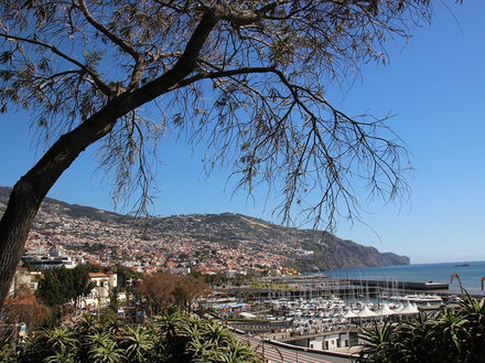 Funchal Funchal