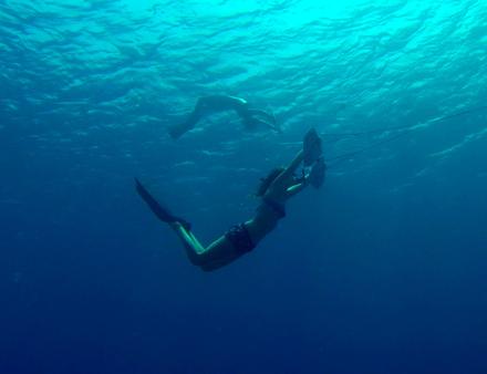 Nautisme Article