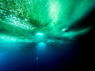 Sous l'Antarctique, la vie...