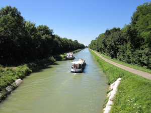 Au fil de l'eau en Camargue