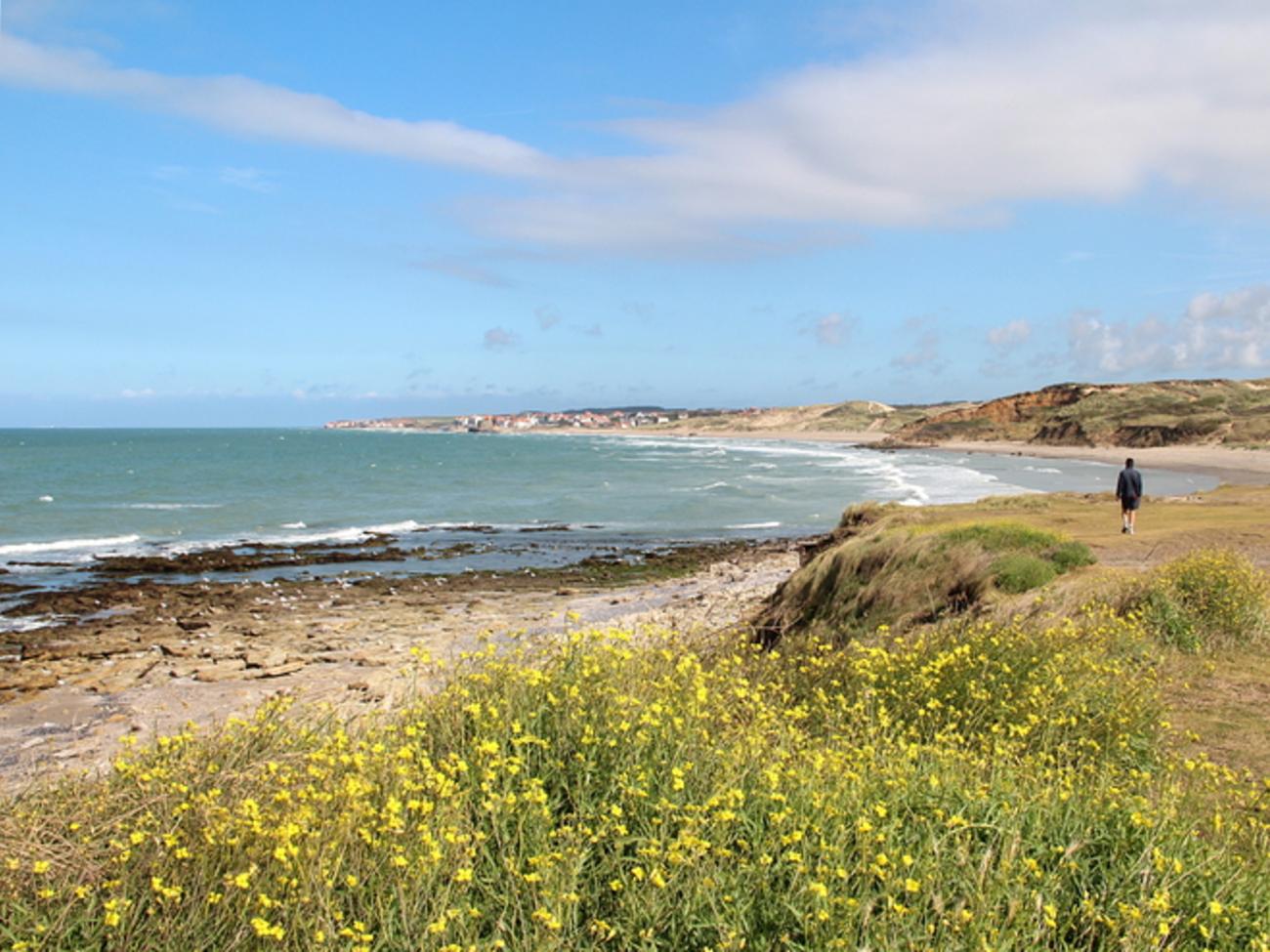 Quelles sont les plages françaises accessibles aux chiens