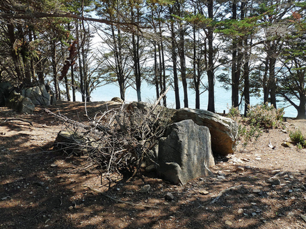 Site mégalithique de Pen Liouse, île d'Arz
