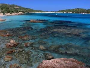 Au coeur des plus belles criques de France